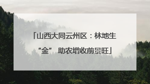 山西大同云州区：林地生“金” 助农增收前景旺