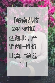 岭南荔枝24小时抵达湖北，产销两旺性价比真“给荔”
