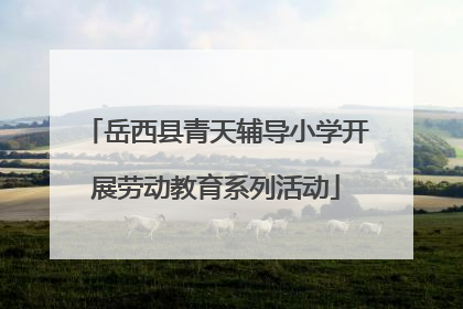 岳西县青天辅导小学开展劳动教育系列活动