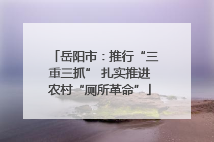 岳阳市：推行“三重三抓” 扎实推进农村“厕所革命”