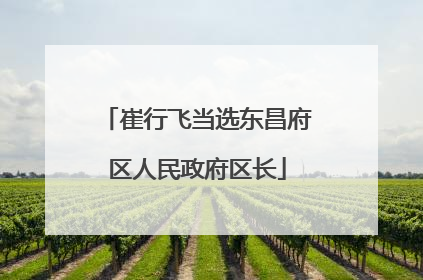 崔行飞当选东昌府区人民政府区长