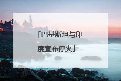 巴基斯坦与印度宣布停火