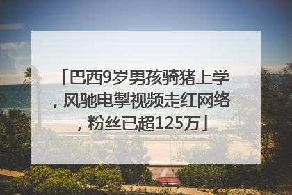 巴西9岁男孩骑猪上学，风驰电掣视频走红网络，粉丝已超125万