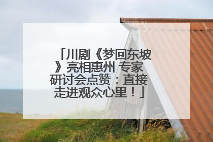 川剧《梦回东坡》亮相惠州 专家研讨会点赞：直接走进观众心里！