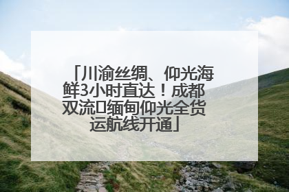 川渝丝绸、仰光海鲜3小时直达！成都双流⇌缅甸仰光全货运航线开通