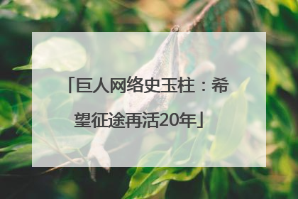 巨人网络史玉柱：希望征途再活20年