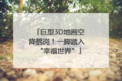 巨型3D地画空降鹤岗！一脚踏入“幸福世界”