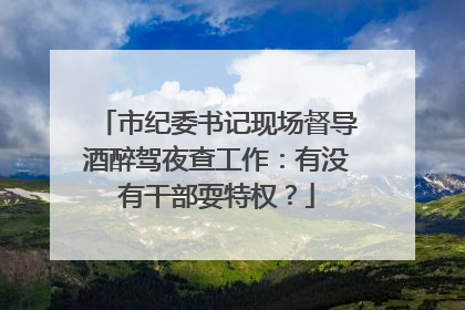 市纪委书记现场督导酒醉驾夜查工作：有没有干部耍特权？