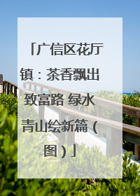 广信区花厅镇：茶香飘出致富路 绿水青山绘新篇（图）