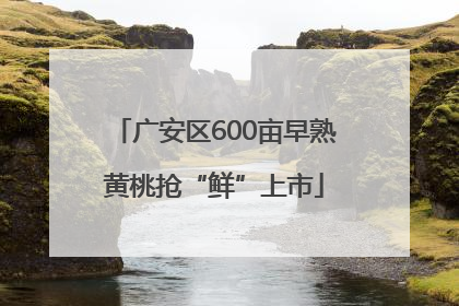 广安区600亩早熟黄桃抢“鲜”上市