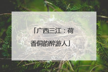 广西三江：荷香侗韵醉游人
