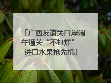 广西友谊关口岸端午通关“不打烊” 进口水果抢先机