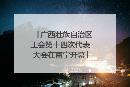 广西壮族自治区工会第十四次代表大会在南宁开幕