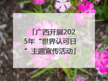广西开展2025年“世界认可日”主题宣传活动