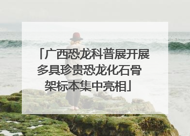 广西恐龙科普展开展 多具珍贵恐龙化石骨架标本集中亮相