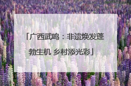广西武鸣：非遗焕发蓬勃生机 乡村添光彩