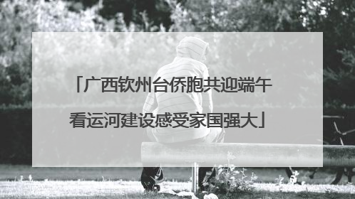 广西钦州台侨胞共迎端午 看运河建设感受家国强大
