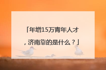 年增15万青年人才，济南靠的是什么？