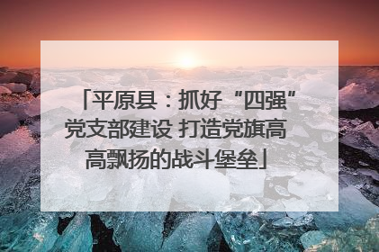 平原县：抓好“四强”党支部建设 打造党旗高高飘扬的战斗堡垒