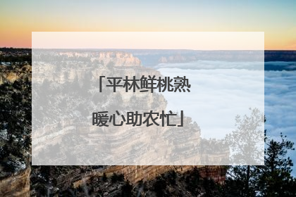 平林鲜桃熟 暖心助农忙