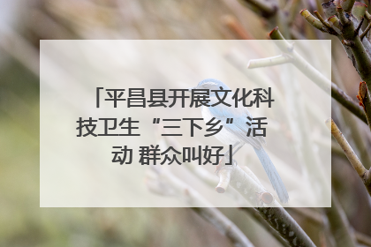 平昌县开展文化科技卫生“三下乡”活动 群众叫好