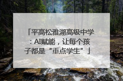 平高松雅湖高级中学：AI赋能，让每个孩子都是“重点学生”