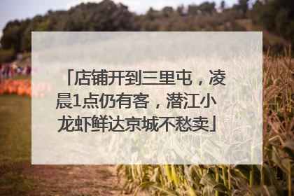 店铺开到三里屯，凌晨1点仍有客，潜江小龙虾鲜达京城不愁卖