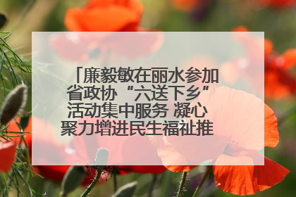 廉毅敏在丽水参加省政协“六送下乡”活动集中服务 凝心聚力增进民生福祉推进共同富裕