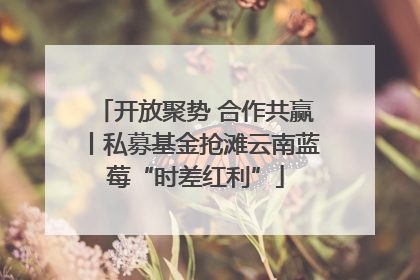 开放聚势 合作共赢丨私募基金抢滩云南蓝莓“时差红利”