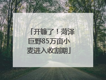 开镰了！菏泽巨野85万亩小麦进入收割期