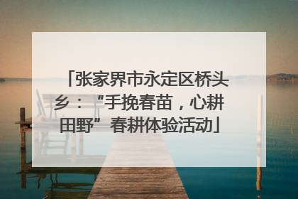 张家界市永定区桥头乡：“手挽春苗，心耕田野”春耕体验活动