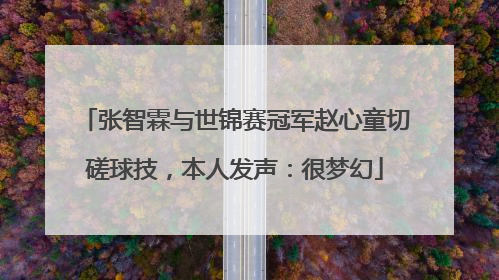 张智霖与世锦赛冠军赵心童切磋球技，本人发声：很梦幻