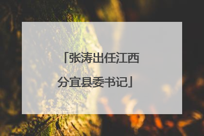 张涛出任江西分宜县委书记