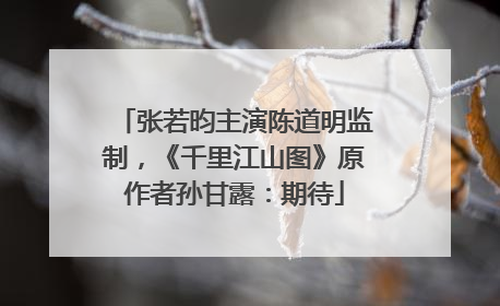张若昀主演陈道明监制，《千里江山图》原作者孙甘露：期待