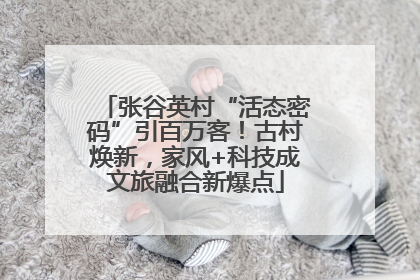 张谷英村“活态密码”引百万客！古村焕新，家风+科技成文旅融合新爆点