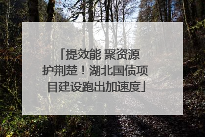 提效能 聚资源 护荆楚！湖北国债项目建设跑出加速度