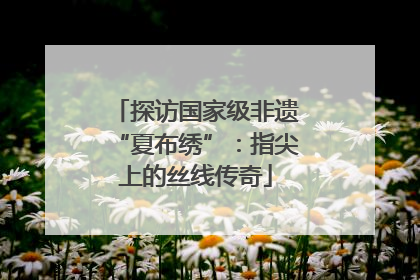 探访国家级非遗“夏布绣”：指尖上的丝线传奇