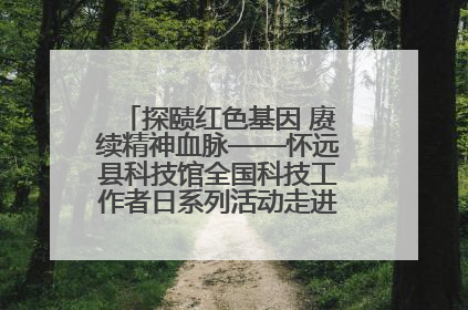 探赜红色基因 赓续精神血脉——怀远县科技馆全国科技工作者日系列活动走进怀远县实验中学