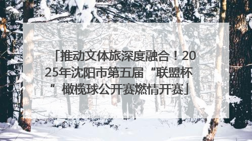 推动文体旅深度融合！2025年沈阳市第五届“联盟杯”橄榄球公开赛燃情开赛
