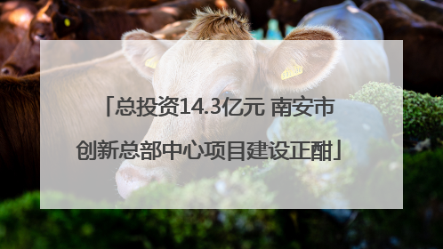 总投资14.3亿元 南安市创新总部中心项目建设正酣