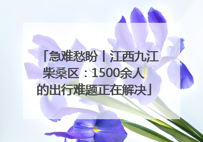 急难愁盼丨江西九江柴桑区：1500余人的出行难题正在解决