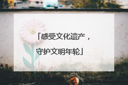 感受文化遗产，守护文明年轮