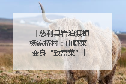 慈利县岩泊渡镇杨家桥村：山野菜变身“致富菜”