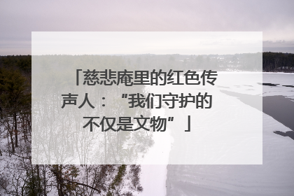 慈悲庵里的红色传声人：“我们守护的不仅是文物”