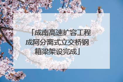 成南高速扩容工程成阿分离式立交桥钢箱梁架设完成