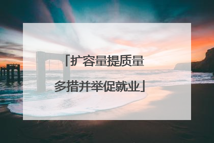 扩容量提质量 多措并举促就业