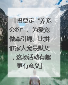 投票定“养宠公约”、为爱宠做牵引绳、比拼谁家人宠最默契，这场活动有趣更有意义