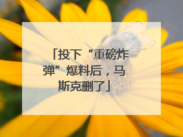 投下“重磅炸弹”爆料后，马斯克删了