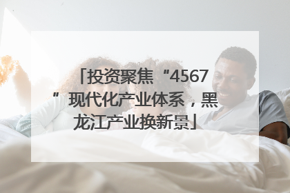 投资聚焦“4567”现代化产业体系，黑龙江产业换新景