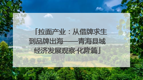 拉面产业：从借牌求生到品牌出海——青海县域经济发展观察·化隆篇
